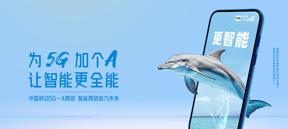 中国移动坡头区移动宽带